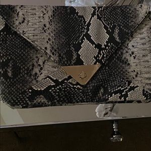 Snake skin clutch